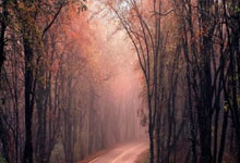 爱游戏下载-NBA焦点战：湖人VS猛龙！詹皇里程碑夜惨遭滑铁卢，失利背后暗藏玄机