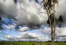 爱游戏下载-NBA焦点战：湖人VS猛龙！詹皇里程碑夜惨遭滑铁卢，失利背后暗藏玄机