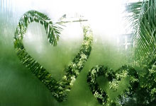 爱游戏下载-NBA焦点战：湖人VS猛龙！詹皇里程碑夜惨遭滑铁卢，失利背后暗藏玄机