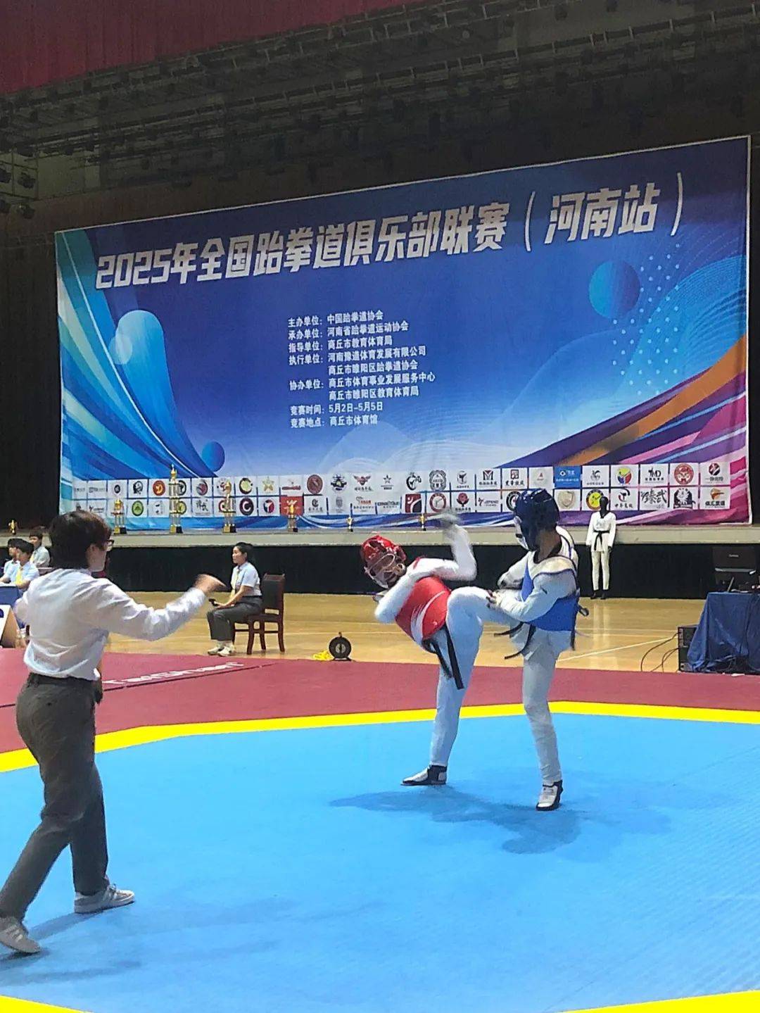 爱游戏娱乐-跆拳道选手再次夺冠，斩获金牌