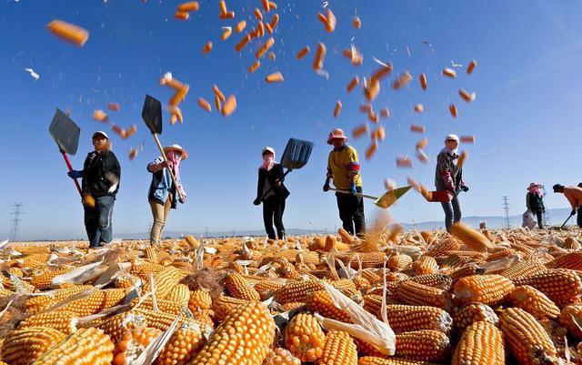 波尔多联赛表现出色,回暖迹象明显 波尔多联赛表现出色,回暖迹象明显