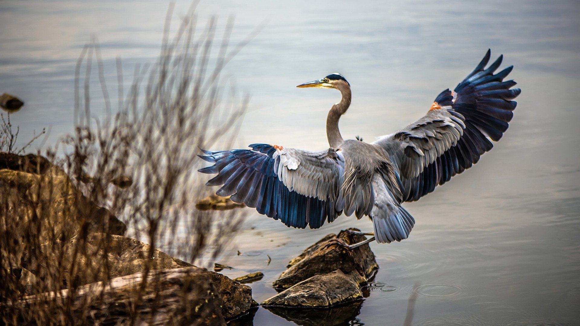 爱游戏tv-绿茵与硬木的交响，当欧冠半决赛的战术风云，遇见76人与国王的鏖战哲学